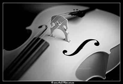 violoncelle 410