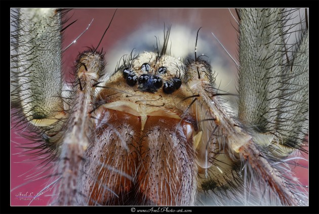 2014-02-08-19.27.05 ZS PMax